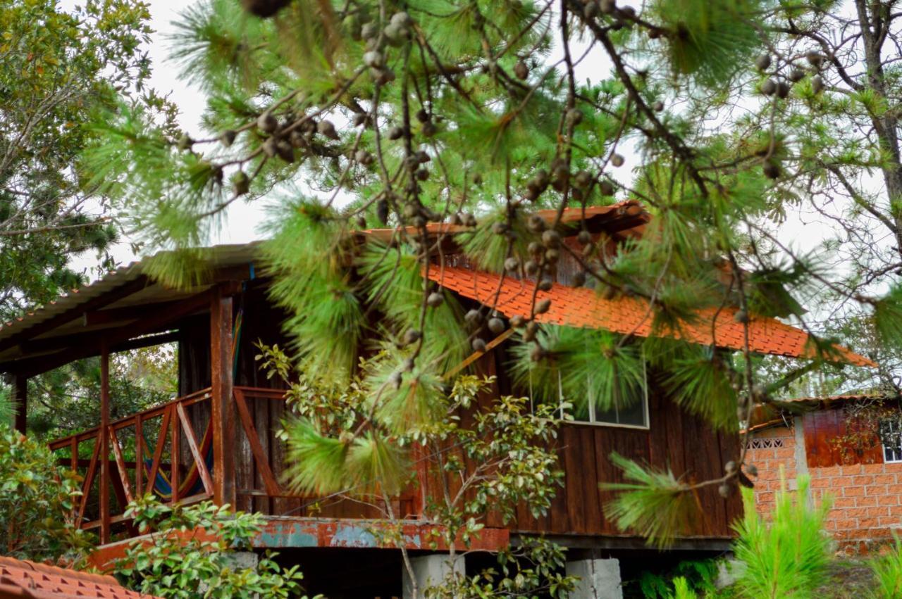 Hotel Y Restaurante Las Margaritas Perquín Exteriér fotografie